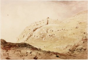 Steel-Rigg de Henry Burdon Richardson